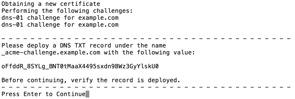 Screen Output: Letsencrypt Certbot Wildcard DNS Challange